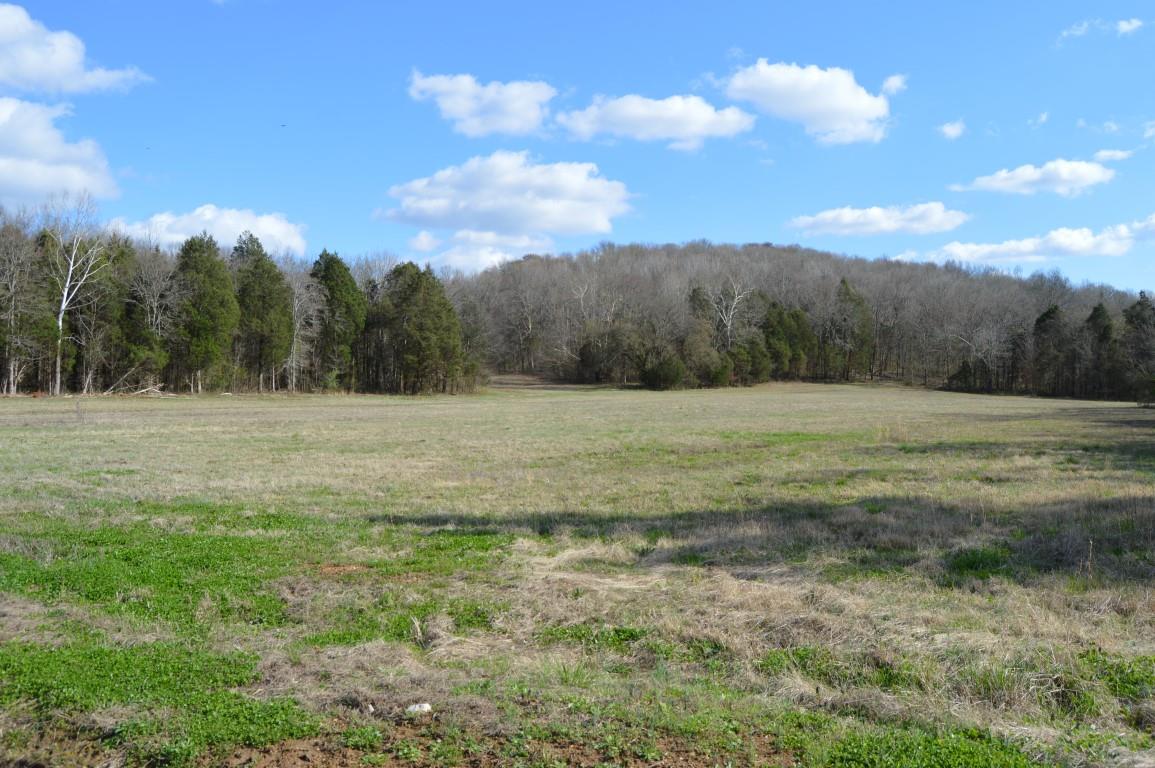 0 Preacher Robertson Road Castalian Springs, TN 37031 - Photo 25 of 30 Gallery Image 25