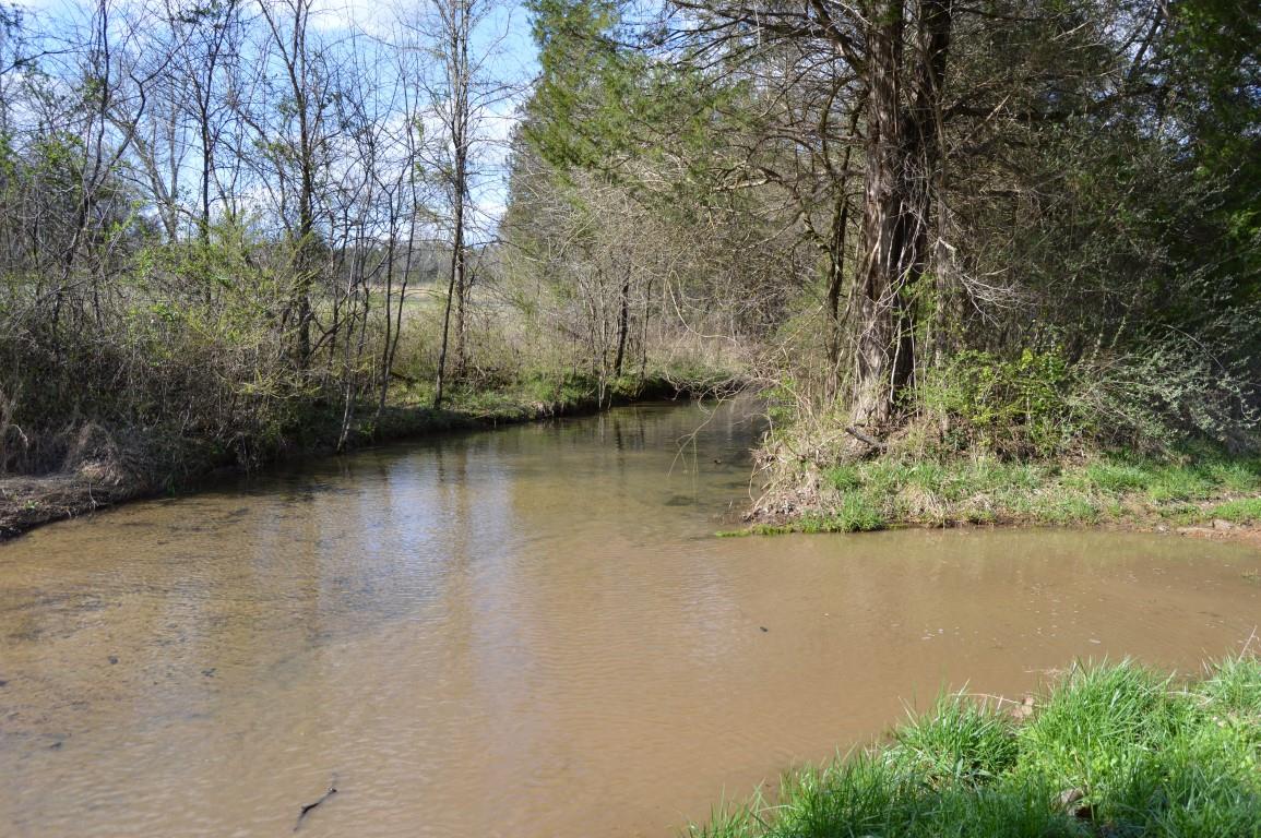 0 Preacher Robertson Road Castalian Springs, TN 37031 - Photo 26 of 30 Gallery Image 26