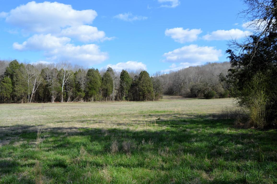 0 Preacher Robertson Road Castalian Springs, TN 37031 - Photo 27 of 30 Gallery Image 27