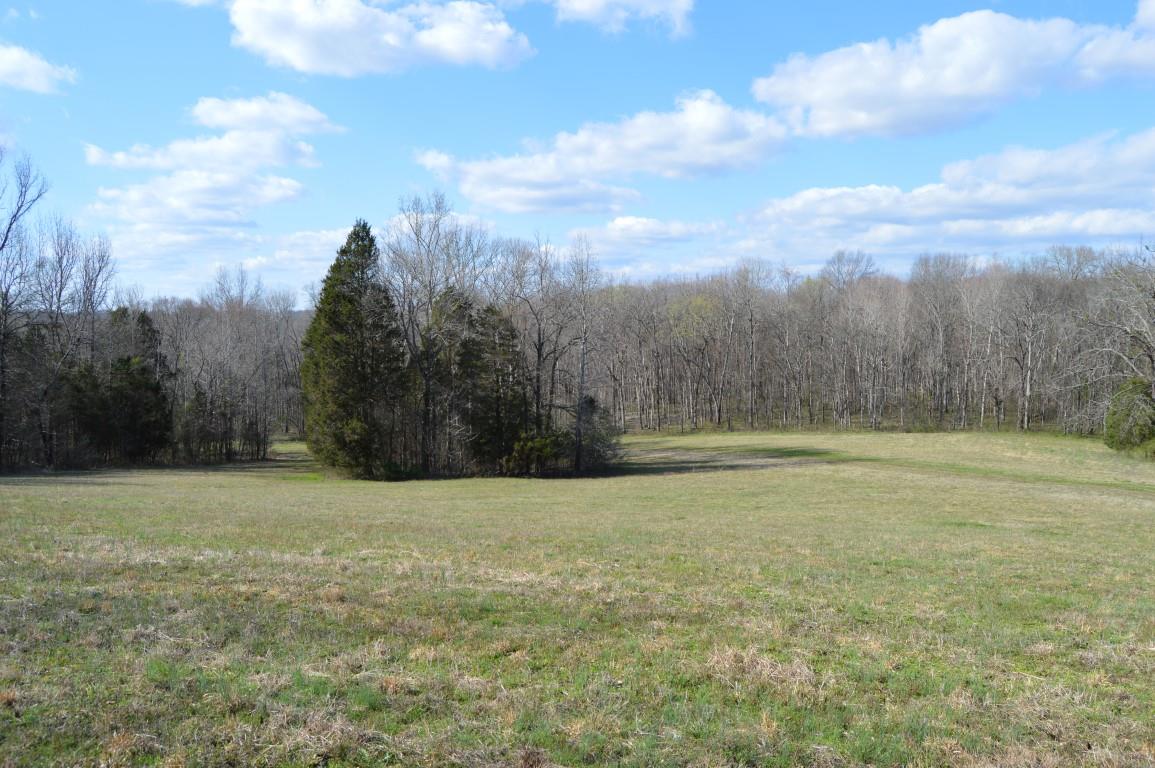 0 Preacher Robertson Road Castalian Springs, TN 37031 - Photo 28 of 30 Gallery Image 28