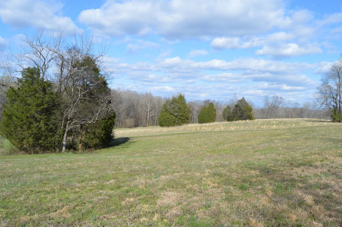 0 Preacher Robertson Road Castalian Springs, TN 37031 - Photo 29 of 30 Gallery Image 29