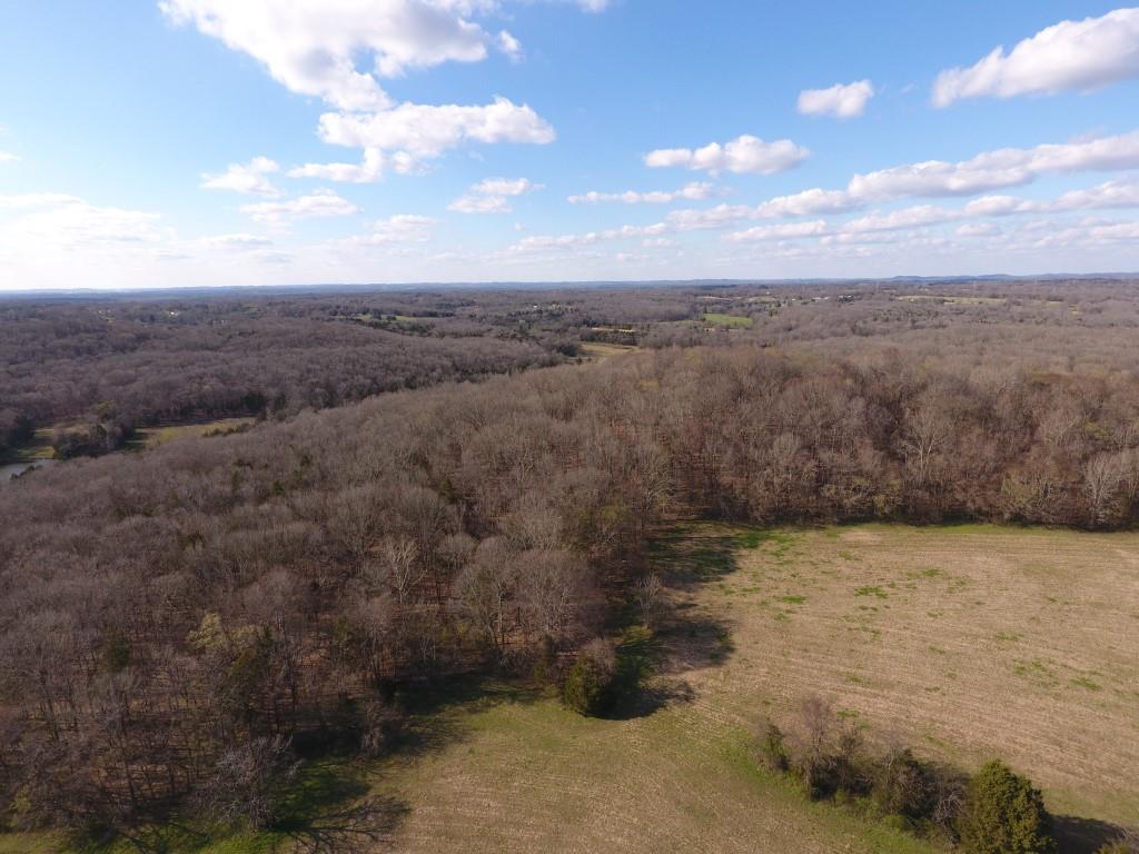 0 Preacher Robertson Road Castalian Springs, TN 37031 - Photo 4 of 30 Gallery Image 4