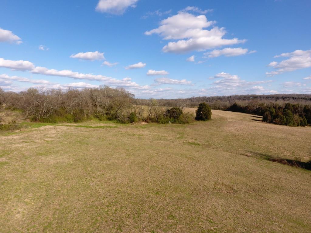 0 Preacher Robertson Road Castalian Springs, TN 37031 - Photo 8 of 30 Gallery Image 8