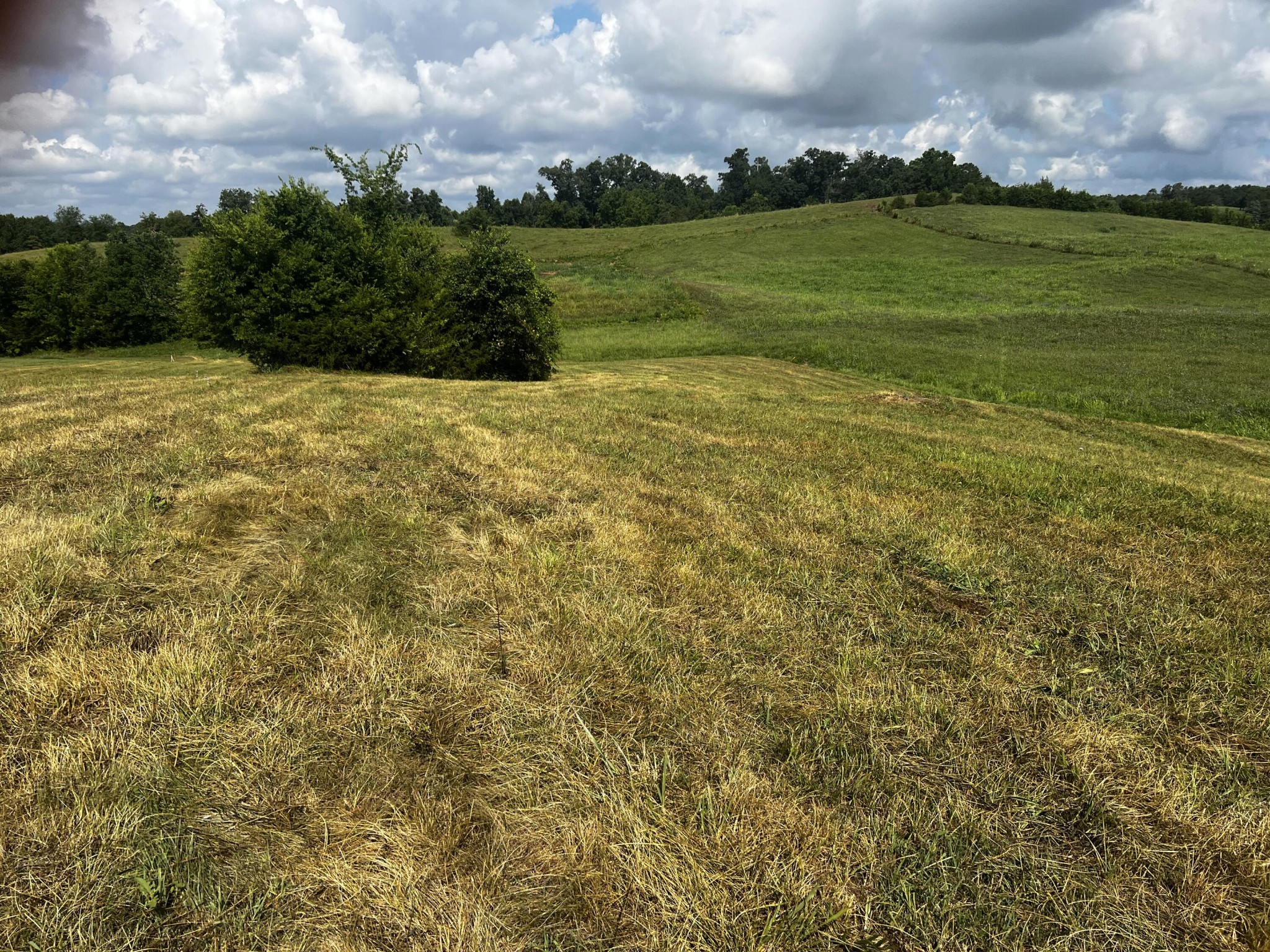 3 Sharp Road Sevierville, TN 37876 - Photo 7 of 21