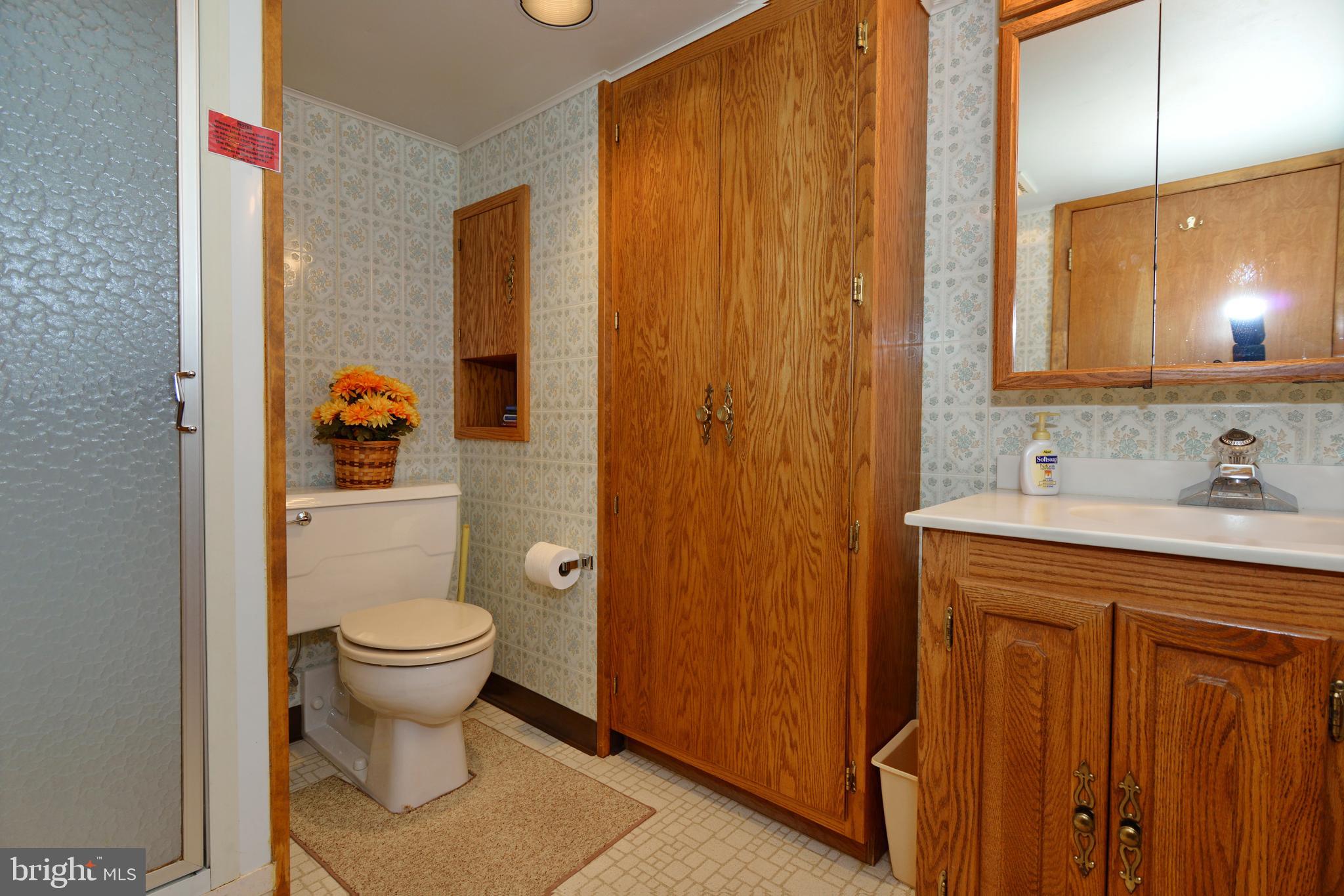 485 Quarry Road Harleysville, PA 19438 - Photo 30 of 37 Full Bath with Stall Shower in Finished Basement