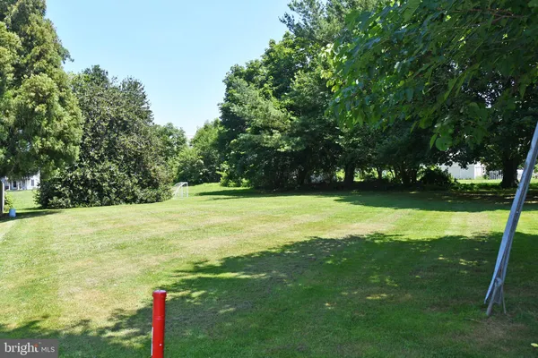 a view of a field with grass
