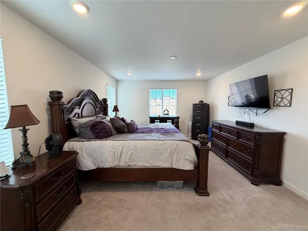 a bed room with a bed and a television