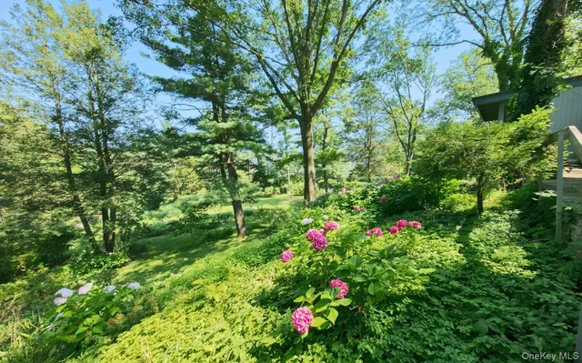 a view of a flower in a garden
