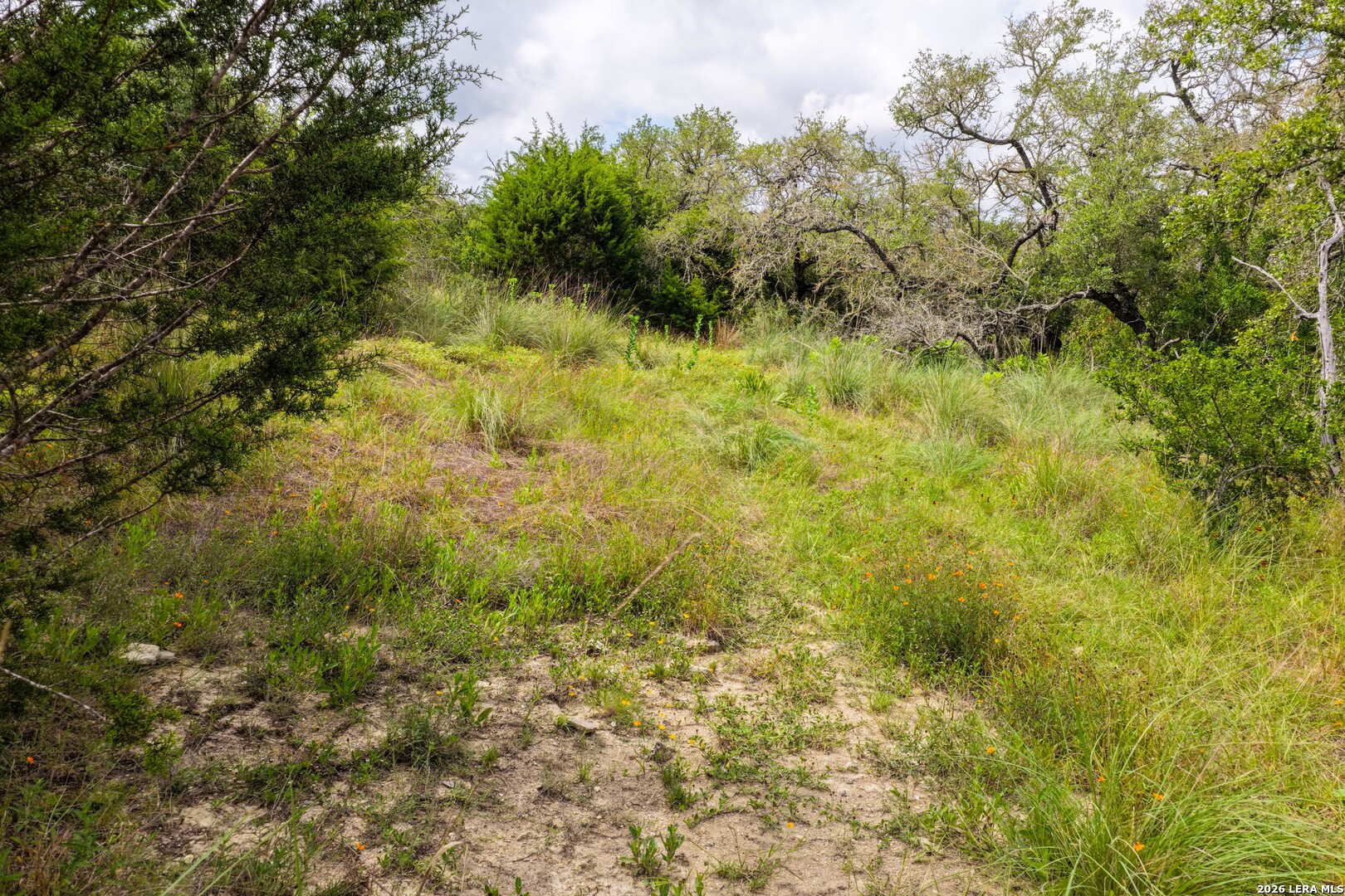 30 Acres /- Peaceful Valley Road Bandera, TX 78003 - Photo 22 of 32
