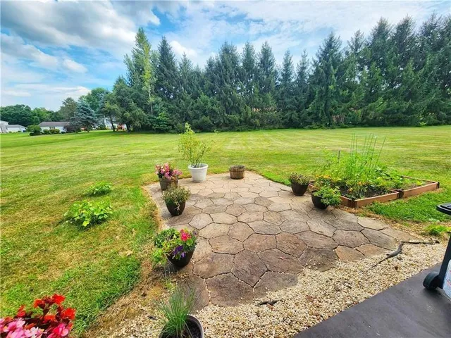 a view of a garden with lawn chairs