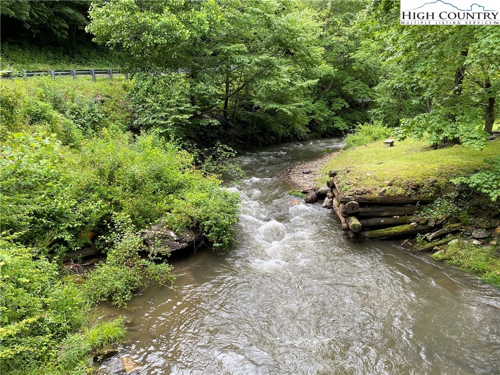 2446 3 Top Road Creston, NC 28615 - Photo 3 of 22 a view of a yard with potted plants and large trees
