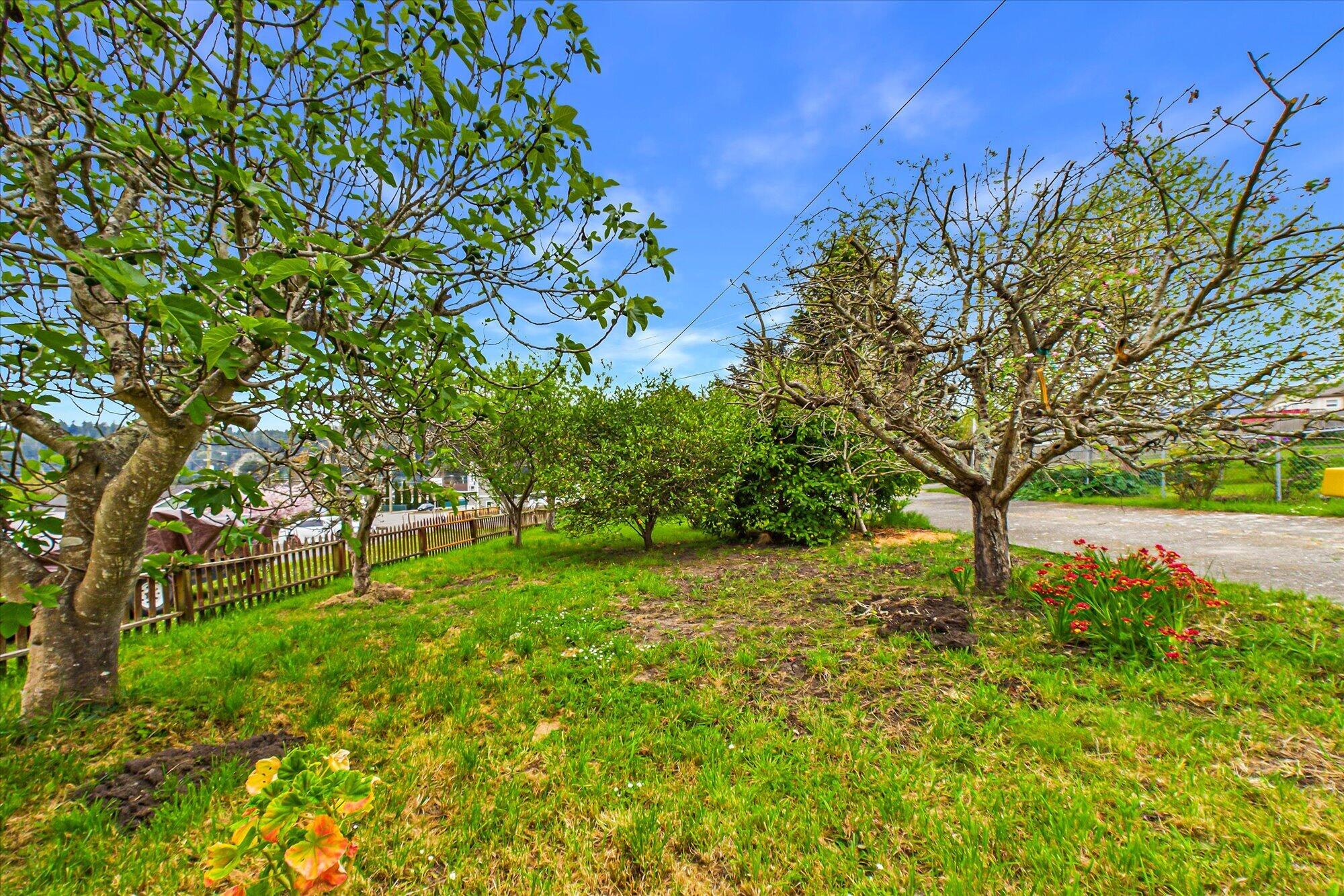 125 Elm Street Rio Dell, CA 95562 - Photo 41 of 43