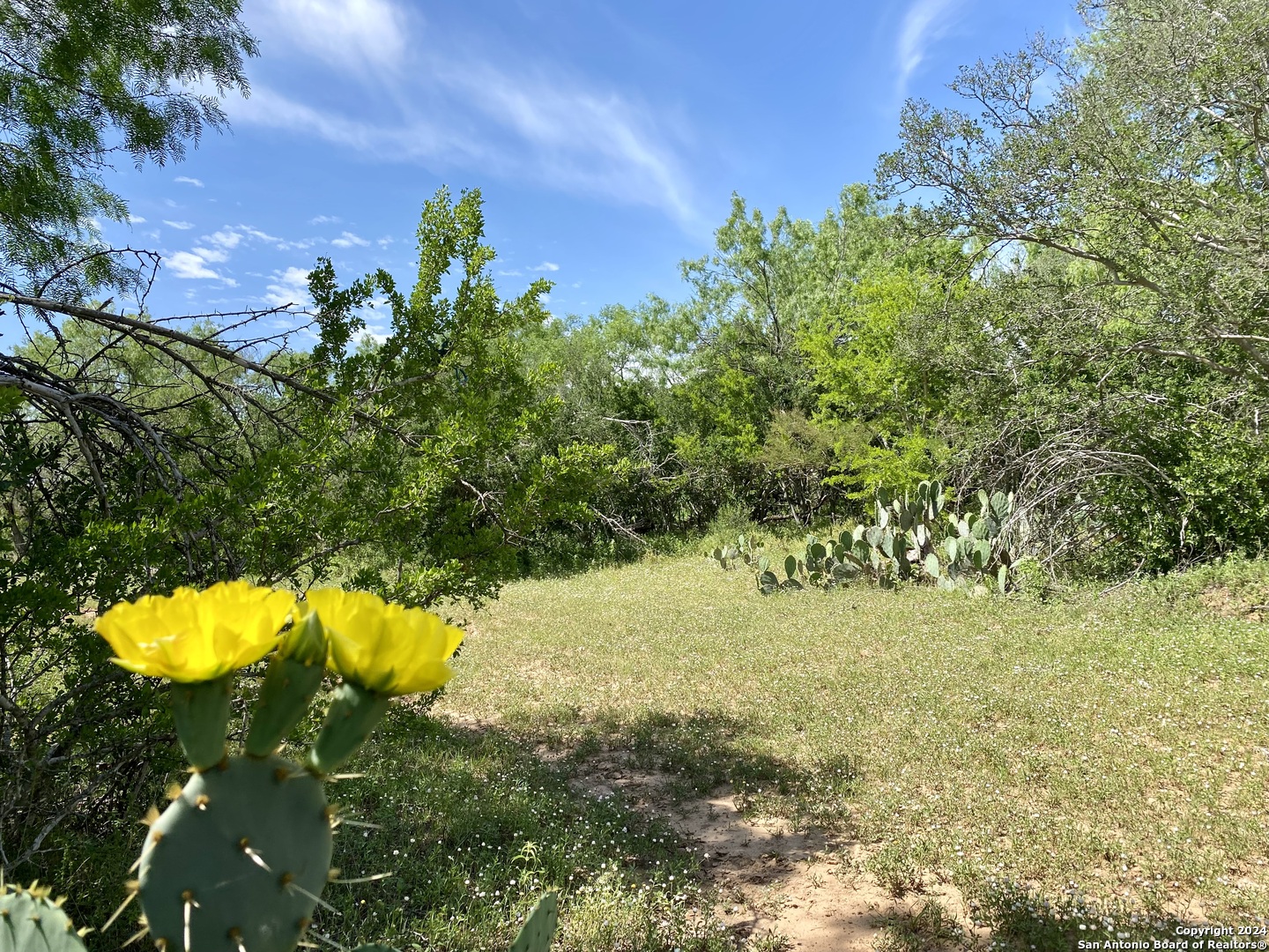 Tbd Dairy Road Pleasanton, TX 78064 - Photo 11 of 34