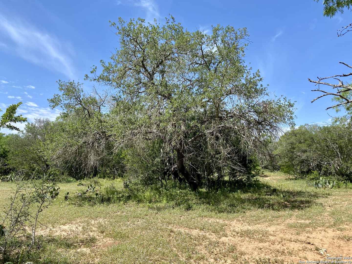 Tbd Dairy Road Pleasanton, TX 78064 - Photo 13 of 34