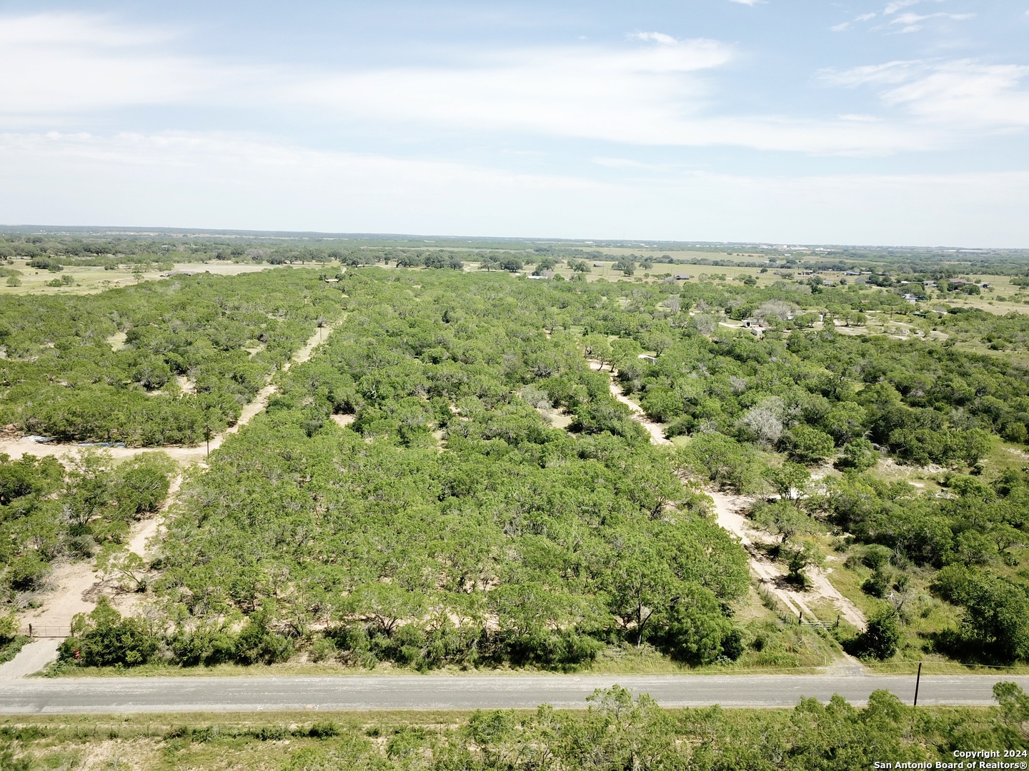Tbd Dairy Road Pleasanton, TX 78064 - Photo 29 of 34
