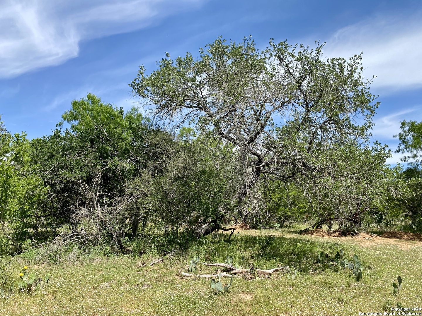 Tbd Dairy Road Pleasanton, TX 78064 - Photo 10 of 34