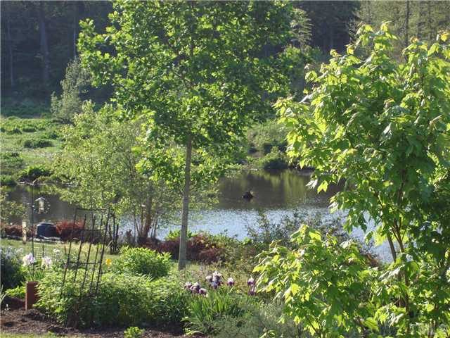 a view of a garden