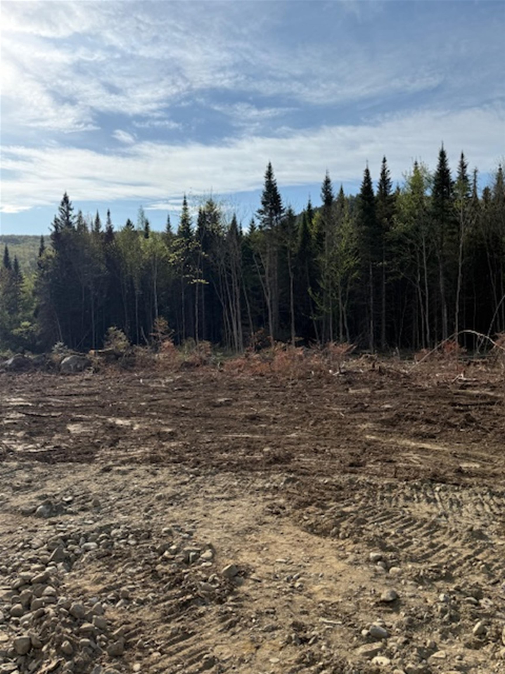 Lot 56.1 Faraway Road Dalton, NH 03598 - Photo 5 of 6