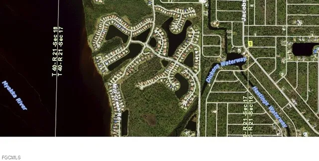 a black and white photo of a garden