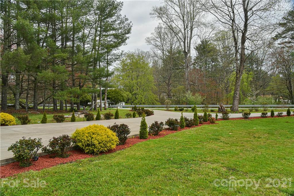 599 Pace Road Hendersonville, NC 28792 - Photo 22 of 24 a garden with lots of trees and plants in the back