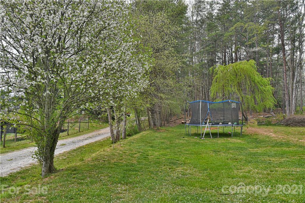 599 Pace Road Hendersonville, NC 28792 - Photo 23 of 24 a view of a park with large trees