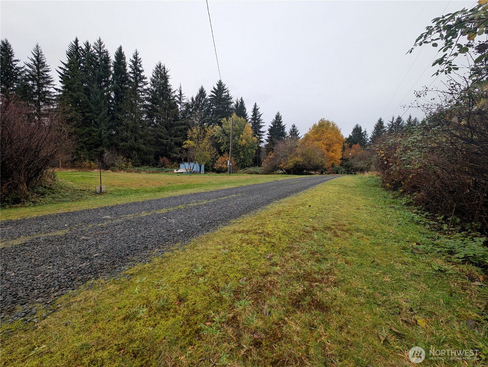 81 Barber Road Clallam Bay, WA 98326 - Photo 29 of 30 a view of a field with trees in the background