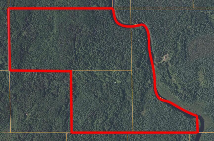 0 Forest Road Hoyt Lakes, MN 55750 - Photo 5 of 6