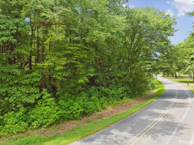 a view of a yard with plants and large trees