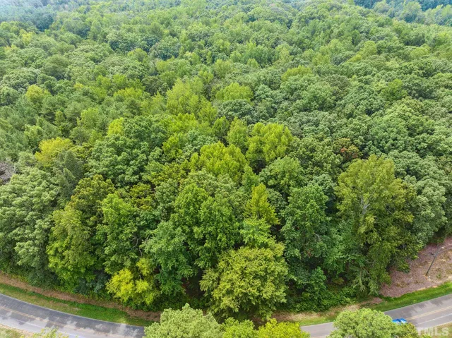 a view of a large yard with plants and large trees