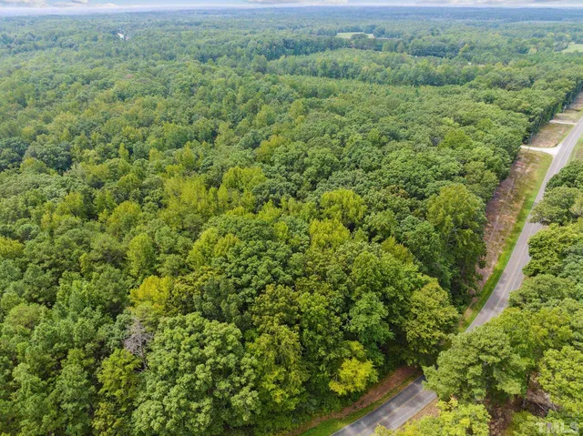 a view of a lush green forest with trees and some houses