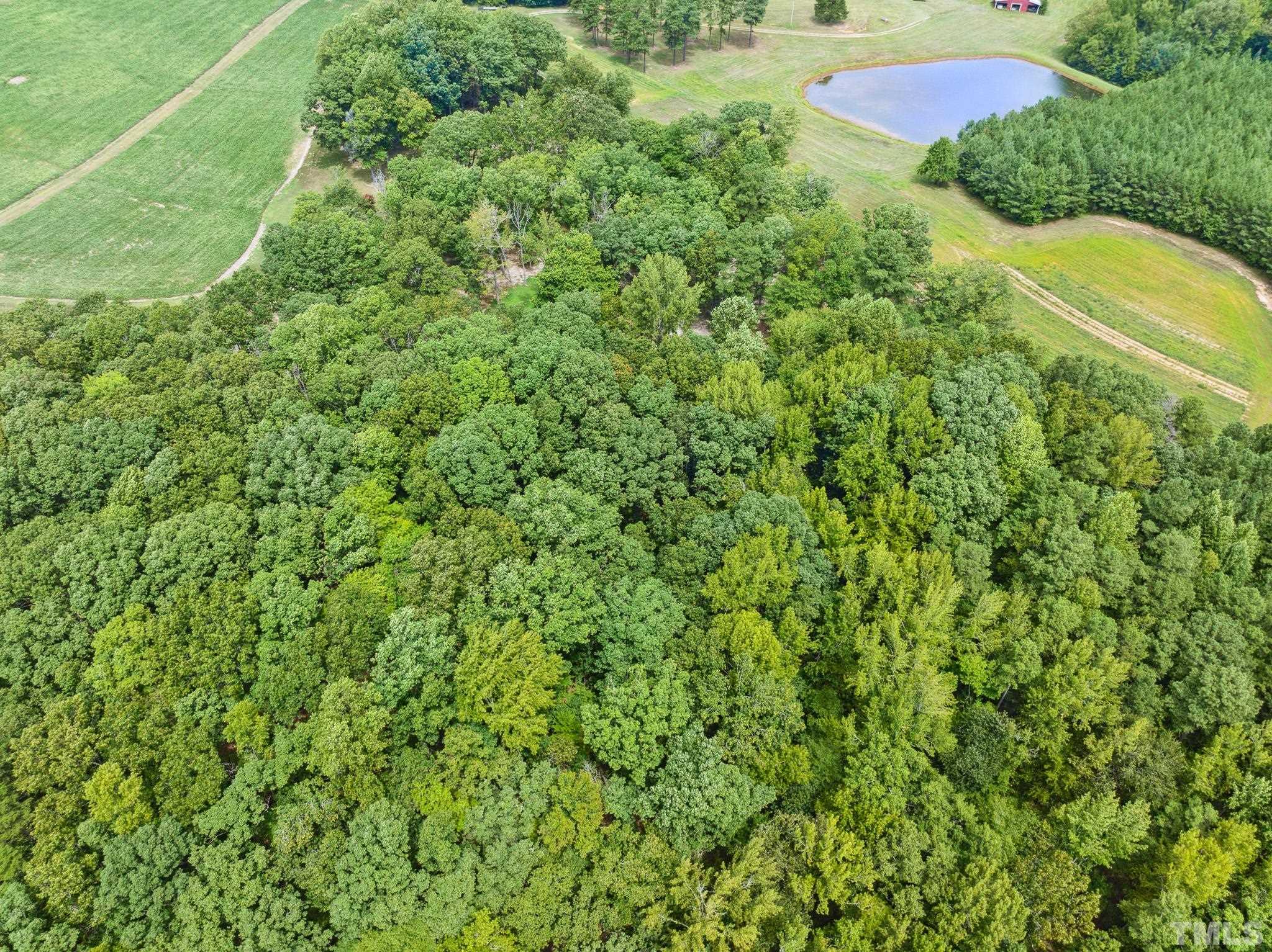 0 Pool Rock Road Henderson, NC 27536 - Photo 6 of 9 a view of a garden