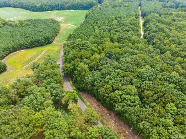 a view of a yard with plants