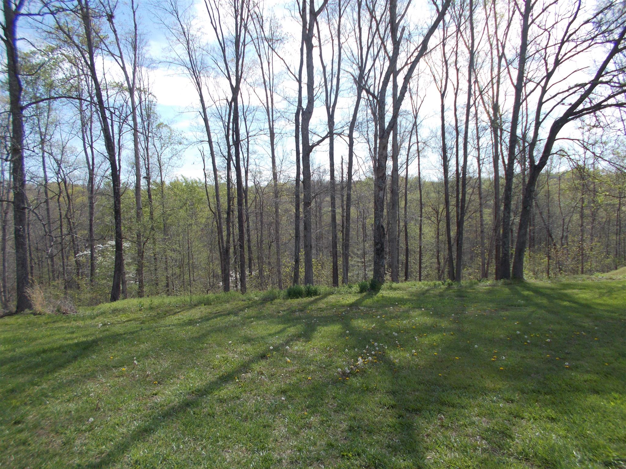 1152 Prosser Road Leoma, TN 38468 - Photo 23 of 30 Gallery Image 23