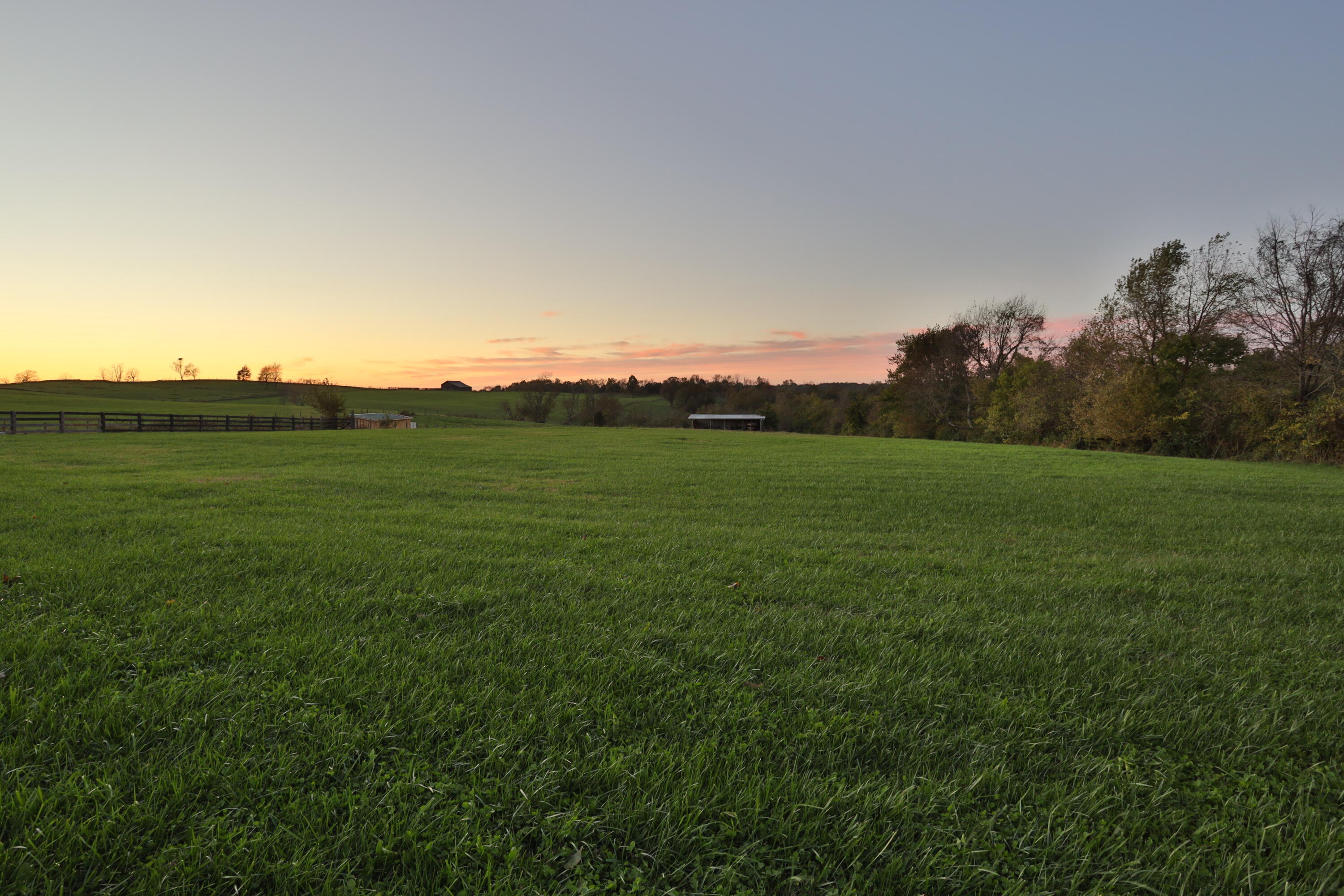 3305 High Bridge Road Wilmore, KY 40390 - Photo 98 of 98 AU2A0919