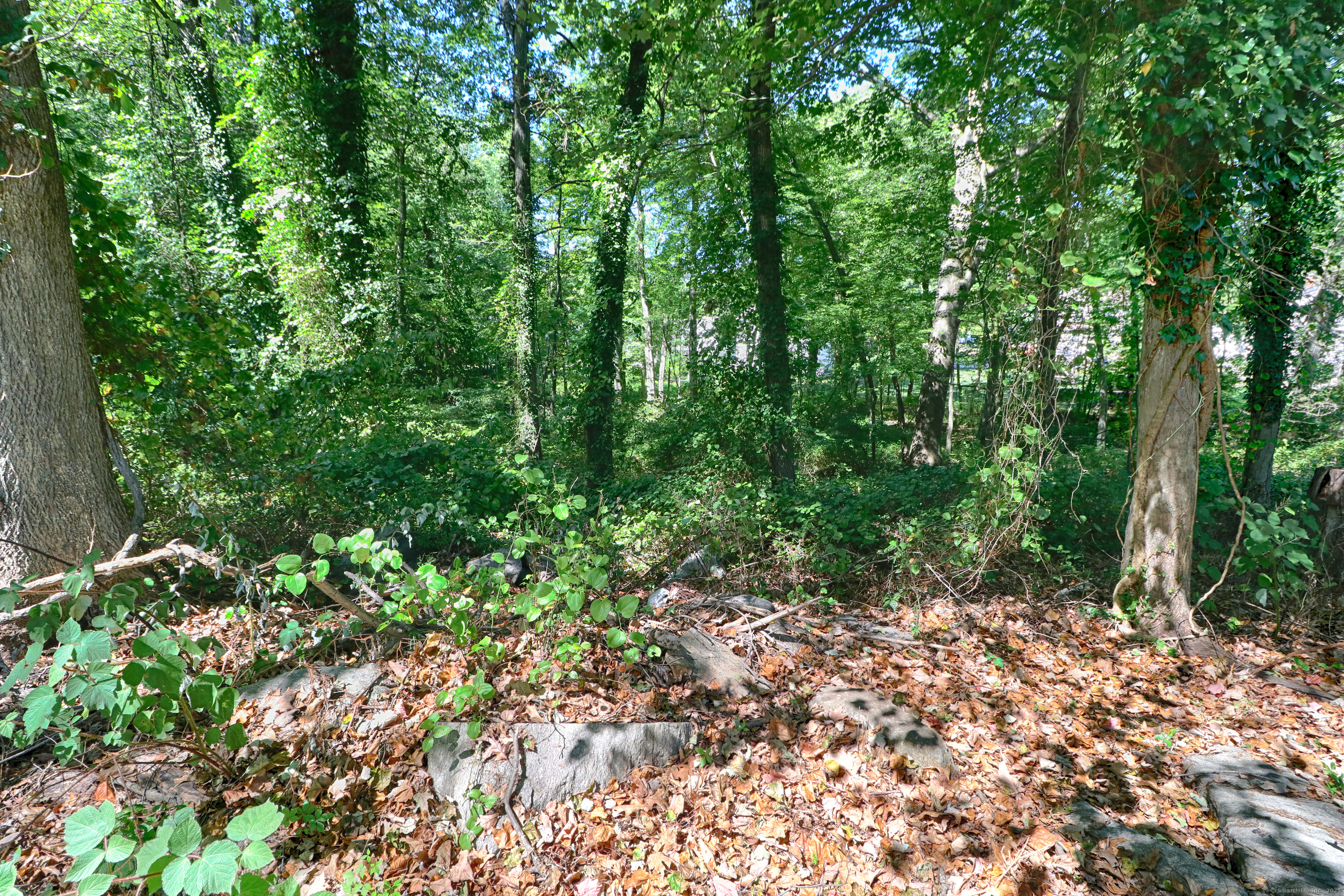 20 Ermine Street Fairfield, CT 06824 - Photo 15 of 18