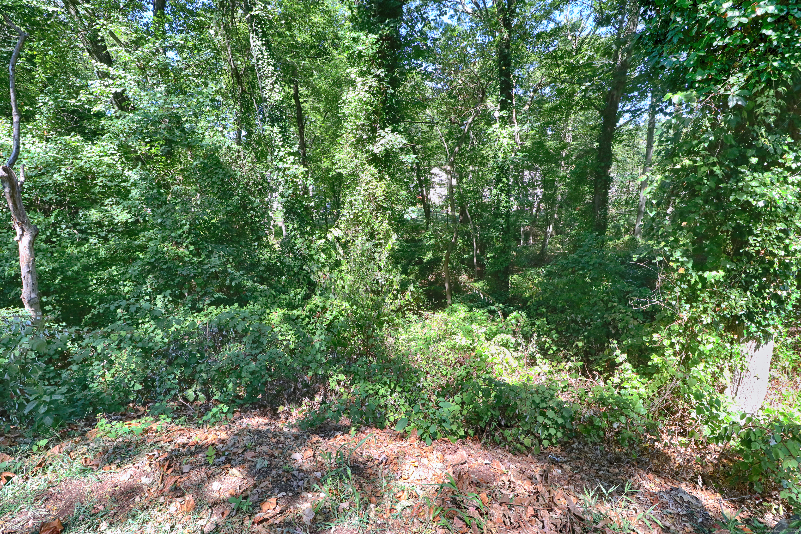 20 Ermine Street Fairfield, CT 06824 - Photo 17 of 18