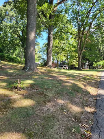 a view of a yard with a tree