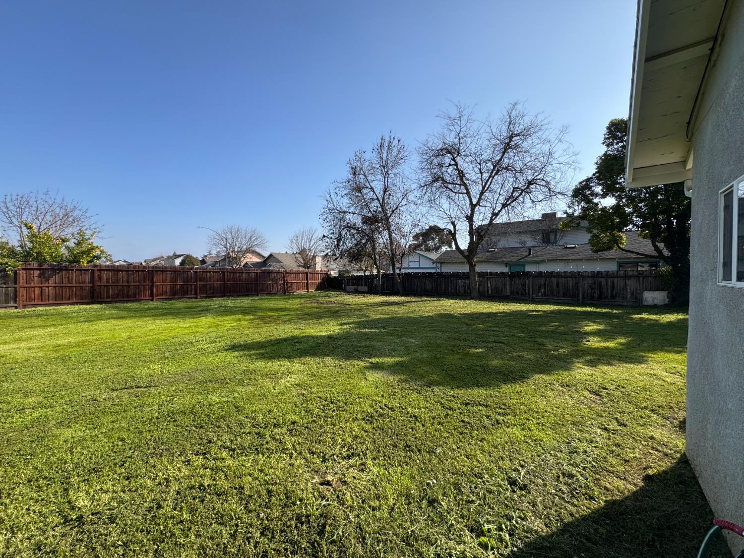 1650 North Olive Avenue Turlock, CA 95382 - Photo 15 of 21 a view of yard with swimming pool and green space