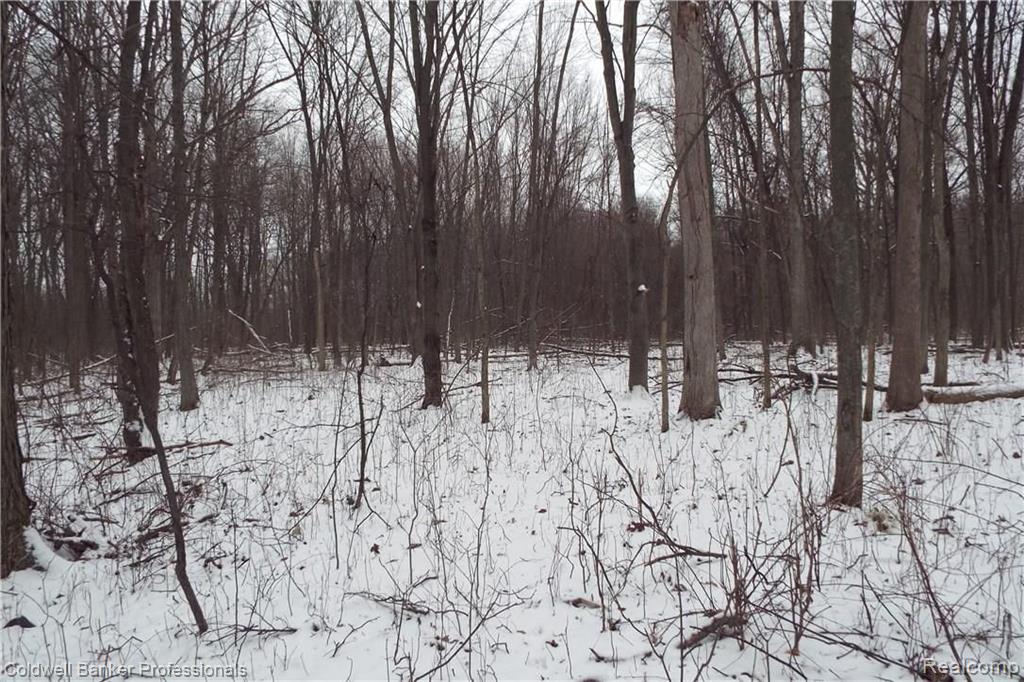 Eight West Eight Mile Road South Lyon, MI 48178 - Photo 25 of 58