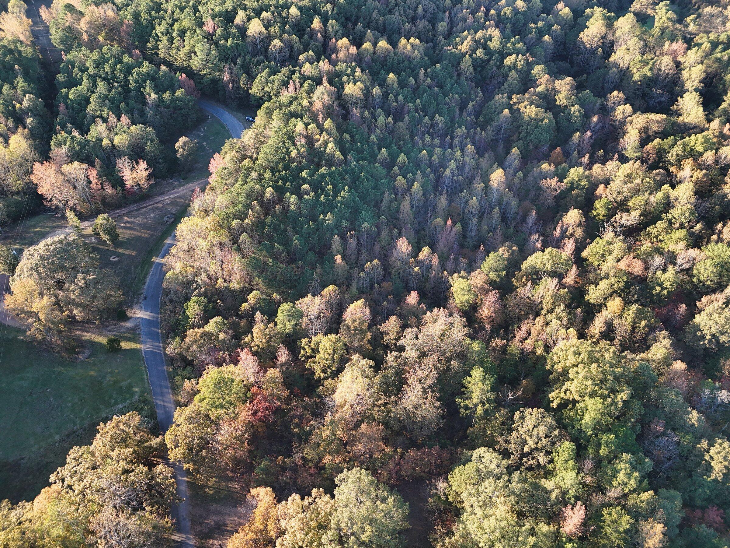 0 Busby Church Road Nauvoo, AL 35578 - Photo 6 of 14 dji_fly_20251104_160304_0167_17622941373
