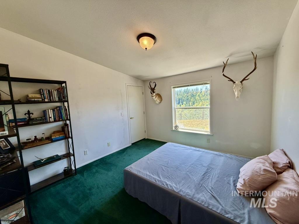2792 & 2796 Ewing Road Nezperce, ID 83543 - Photo 16 of 50