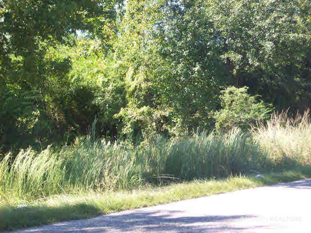 Lot 43 Woods Road Atmore, AL 36502 - Photo 5 of 8
