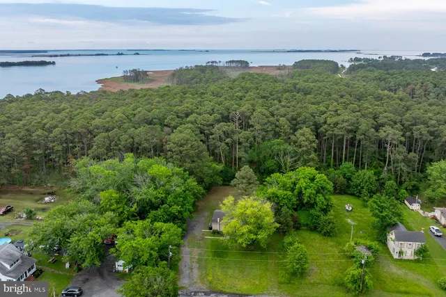 a view of a lake with a city