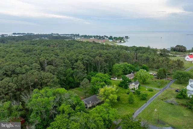 a view of a lake with a city