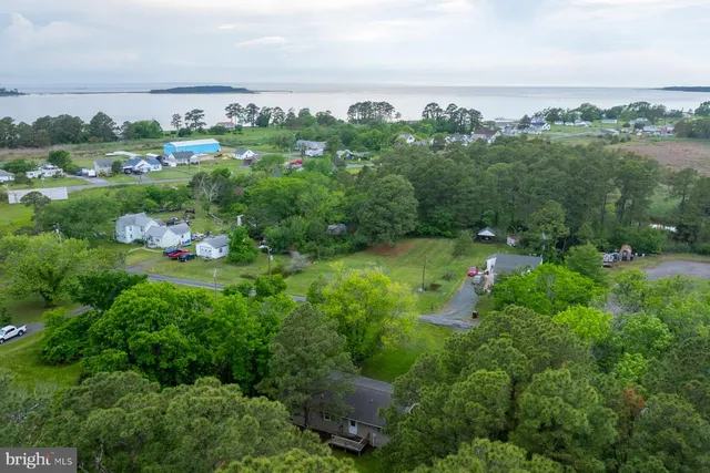 a view of a livingroom with furniture hardwood floor and a window