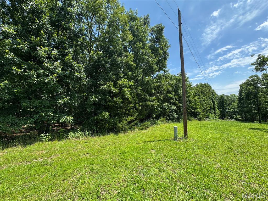 Tbd Tbd Hooiser Road Dixon, MO 65459 - Photo 1 of 3