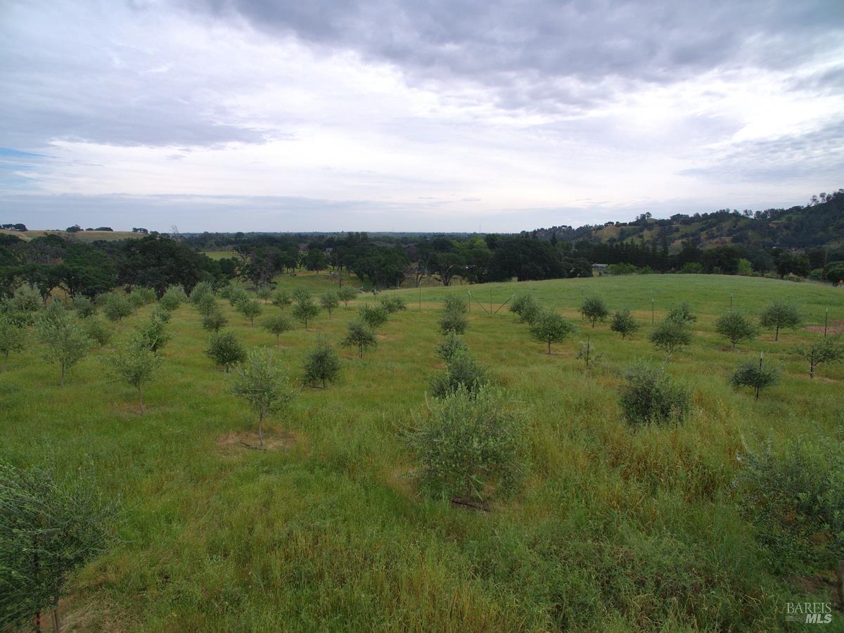 8600 Pleasants Valley Road Winters, CA 95694 - Photo 11 of 35