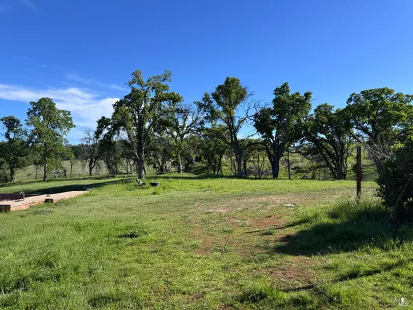 a view of field with trees in the background