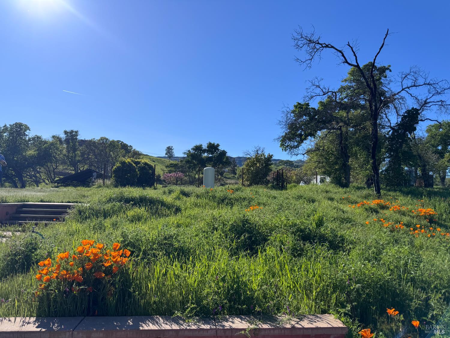 8600 Pleasants Valley Road Winters, CA 95694 - Photo 21 of 35