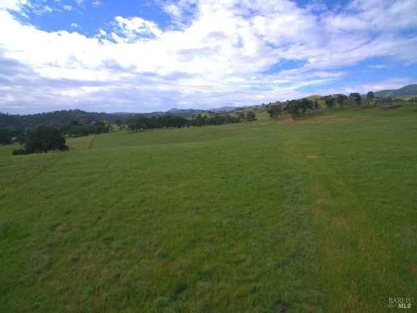 a view of a lush green space with sea
